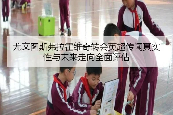 尤文图斯弗拉霍维奇转会英超传闻真实性与未来走向全面评估